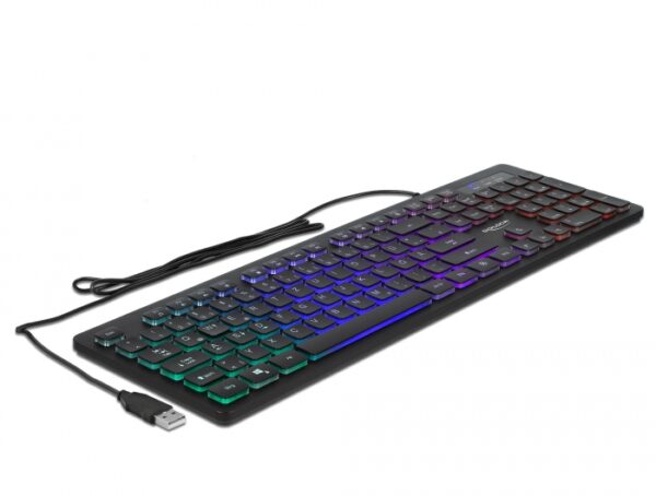 Delock Usb Tastatur Kabelgebunden 1 5 M Schwarz Mit Rgb Beleuchtung